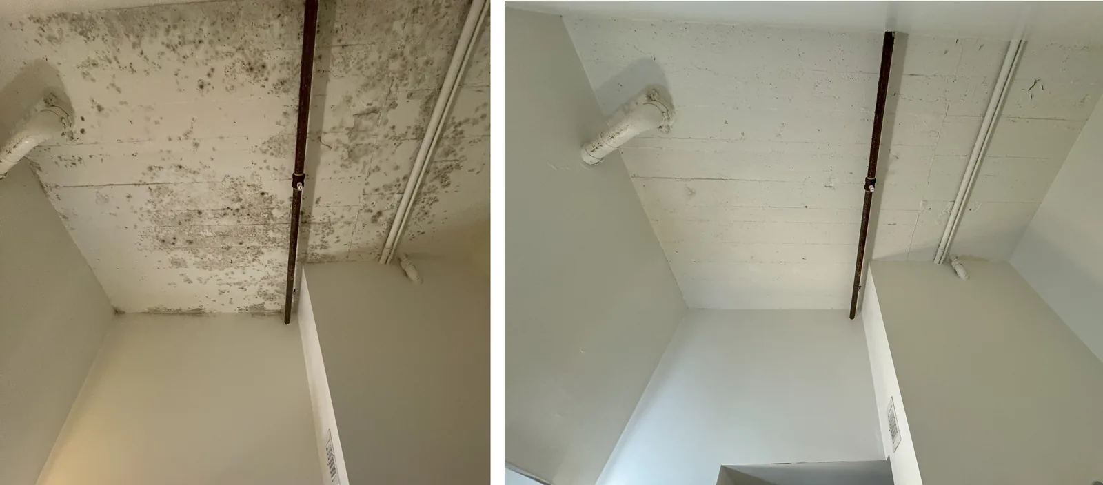 Bathroom ceiling in Los Angeles — house deep cleaning before and after